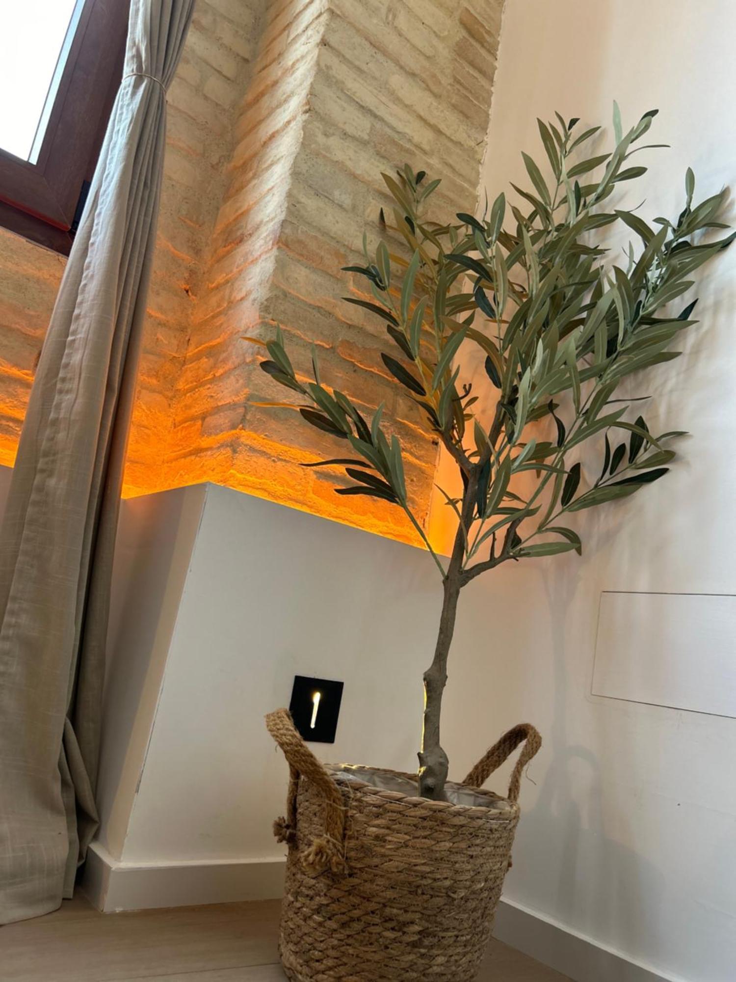Apartments & Boutique Meraki Ontinyent Extérieur photo